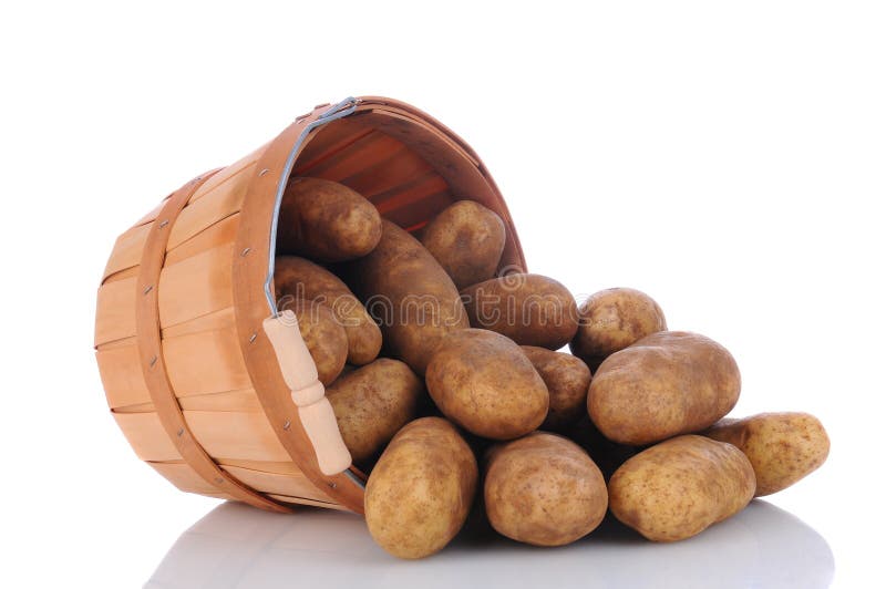 Bushel Of Potatoes Isolated On White Stock Photo Image of background