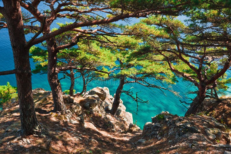 Russian Primorye seabank. near Vladivostok. Andreevka village. Contrast enhanced stock images, royalty-free photos and pictures