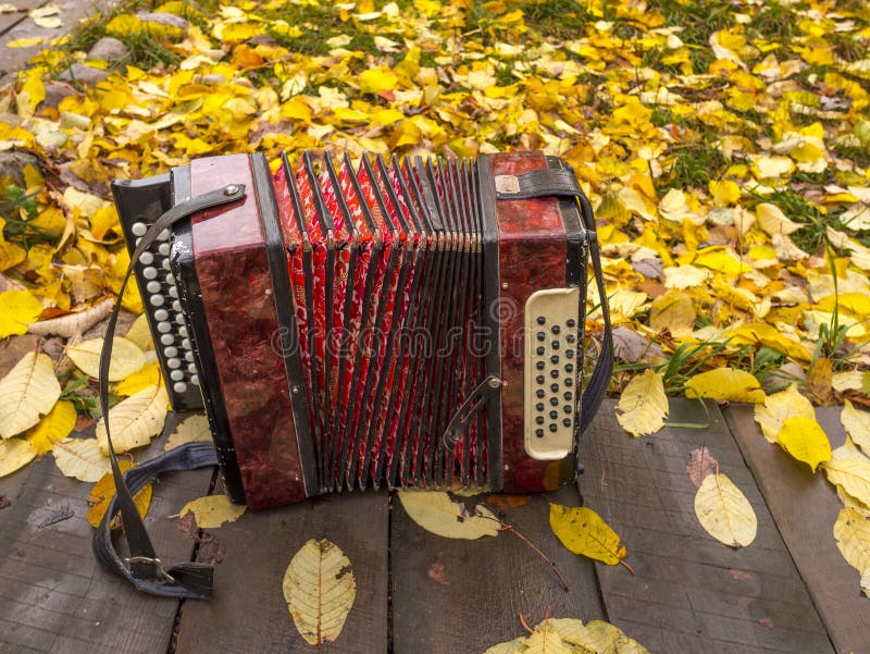 Russian accordion stock image. Image of motherofpearl - 34718393