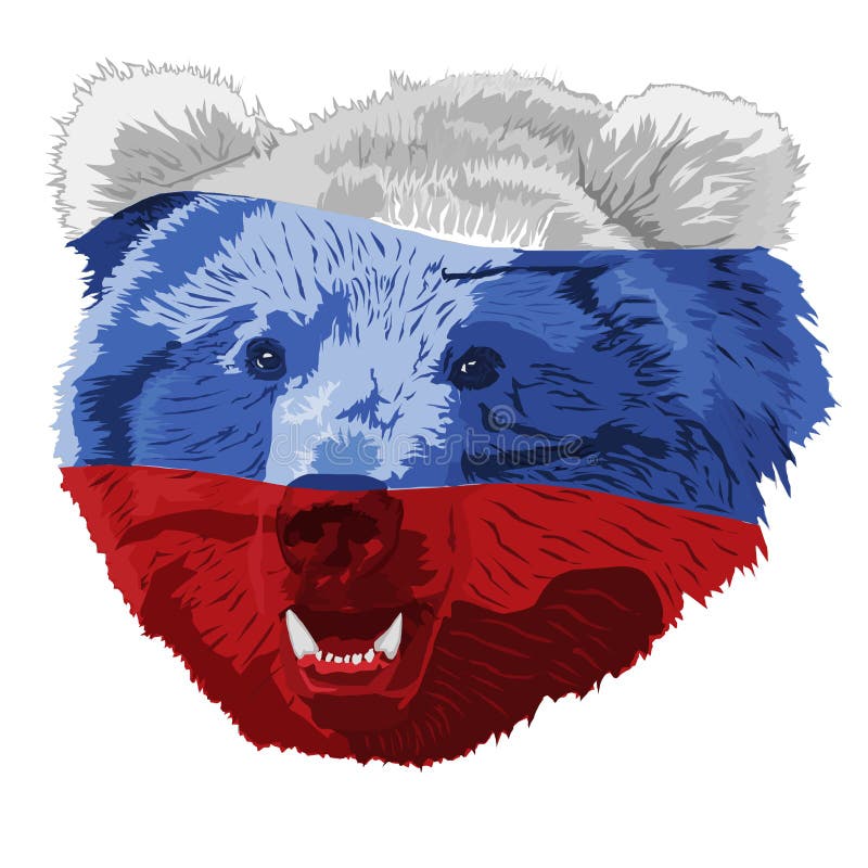 The Russian bear colored in a tricolor vector illustration The Russian bear colored in a tricolor vector illustration
