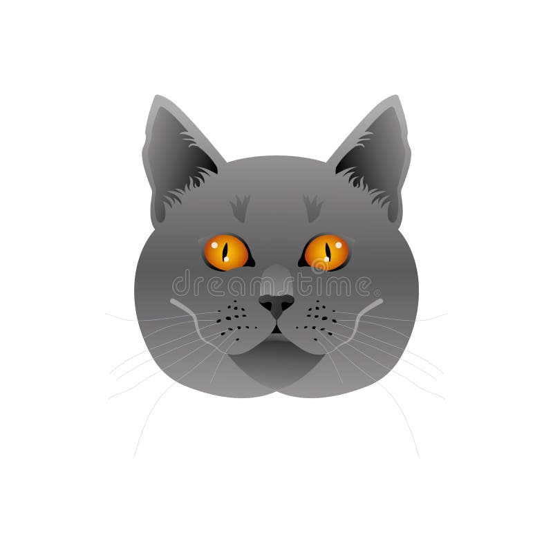 Pixel British Blue Cat Face Isolated Vector Photo-realistic Illustration  Royalty Free SVG, Cliparts, Vectors, and Stock Illustration. Image  111667878.