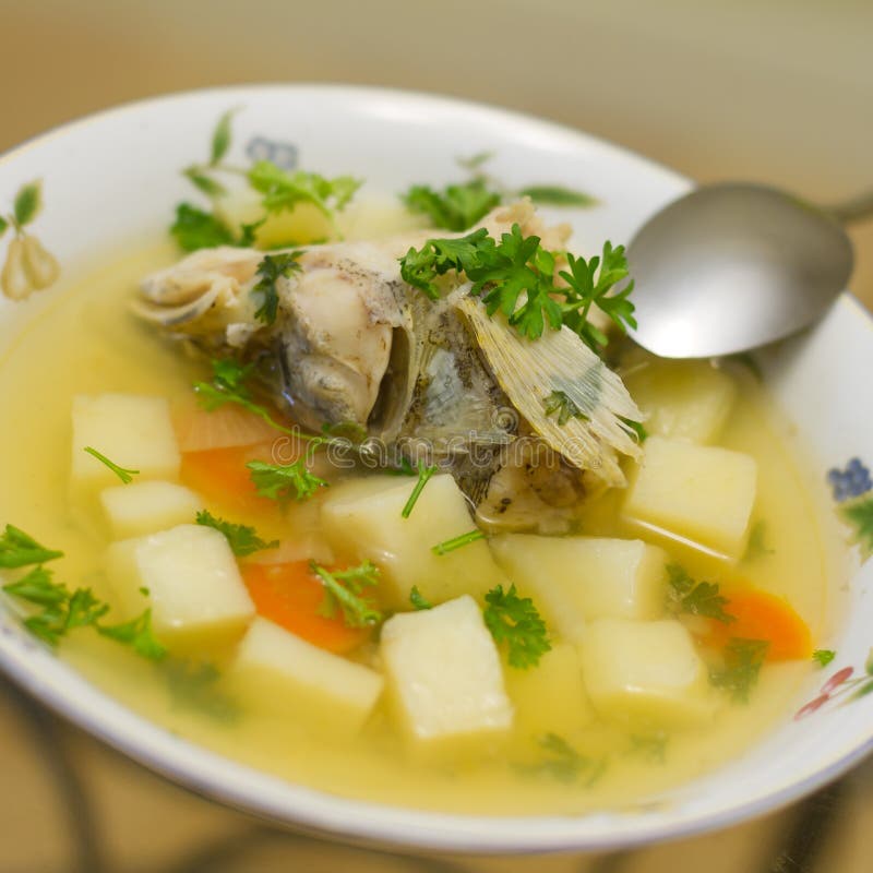 Traditional Russian Fish Soup Stock Image Image of rustic, dish 31458287