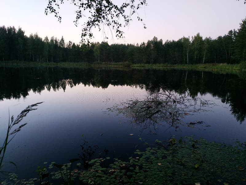 Russian nature royalty free stock images Russian nature royalty free stock images