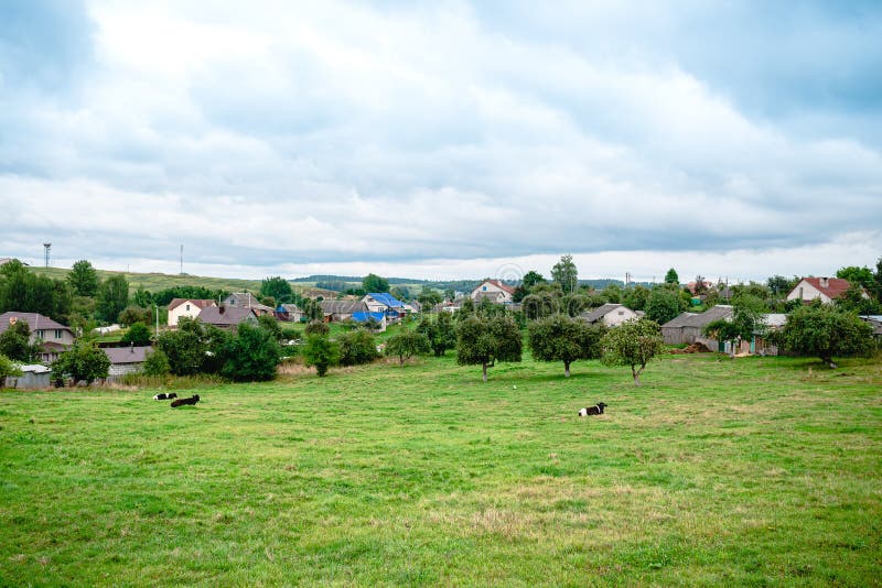 Russian Rural Landscape In Summer Village Houses In Greenery Stock