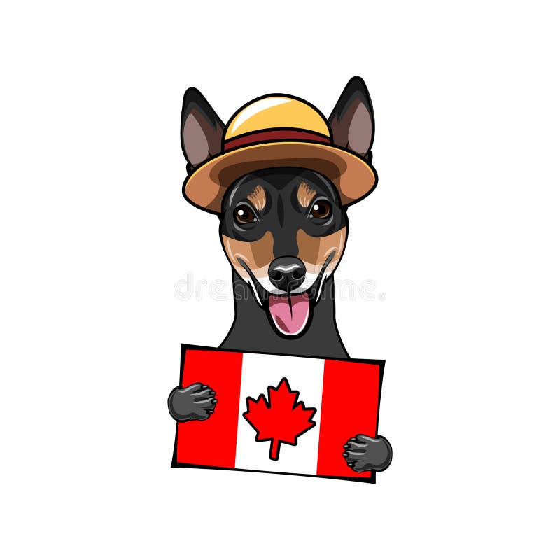 Russian Toy Terrier Dog. Canadian Flag. Canada Day Card. Royal Canadian  Mounted Police. Dog Portrait. Vector. Stock Vector - Illustration of  decoration, icon: 115697909
