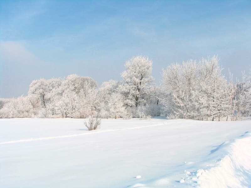 Russian winter stock image Image of branch park white 1396251