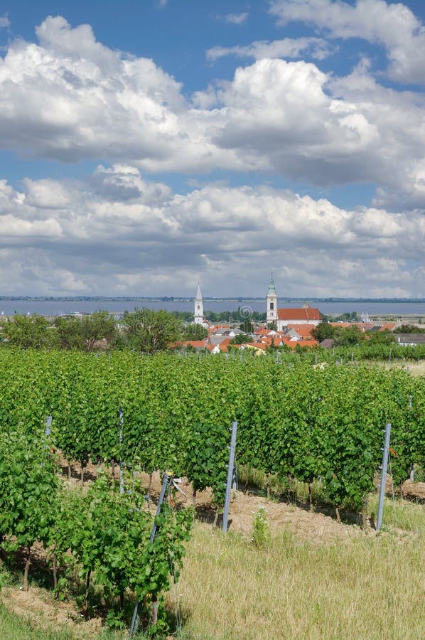 Wine Village of Rust in Burgenland,Neusiedler See,Austria. Wine Village of Rust in Burgenland,Neusiedler See,Austria