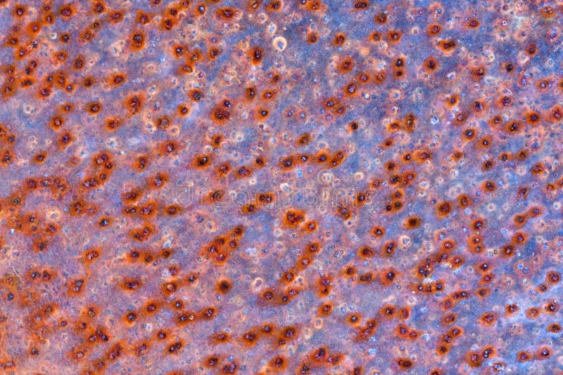 Rust Spots stock images