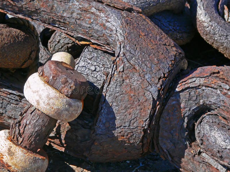 Rusted Steel Shank Picture. Image 1317646