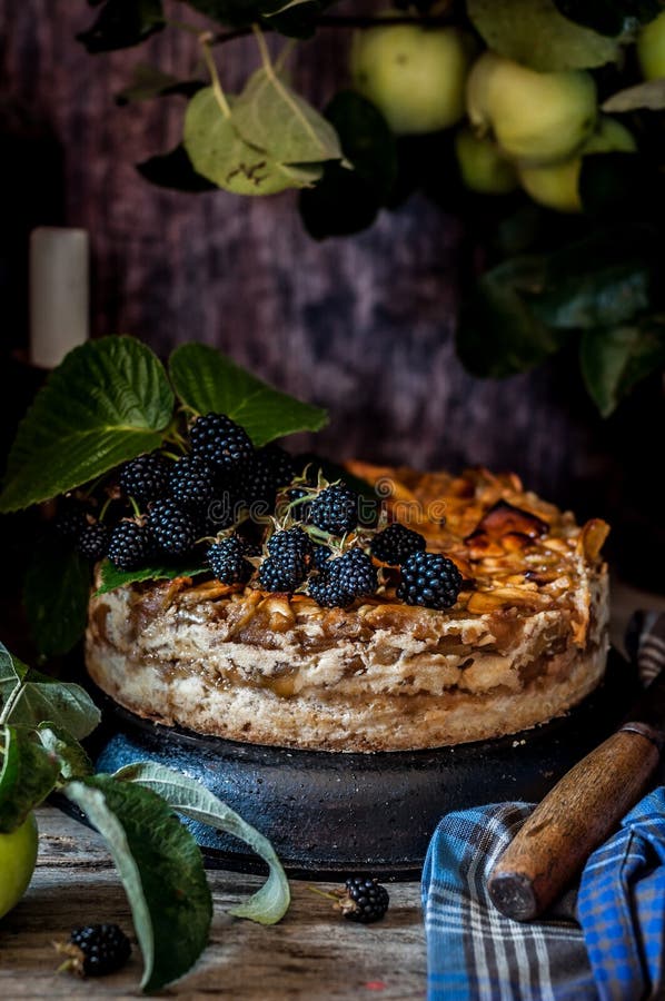 Rustic Apple Pie stock image. Image of background, cake ...