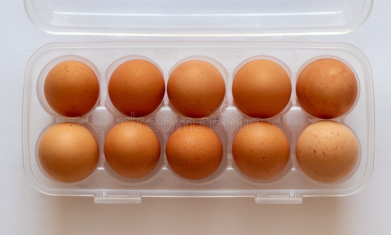 Download 5 495 Mockup Egg Photos Free Royalty Free Stock Photos From Dreamstime PSD Mockup Templates