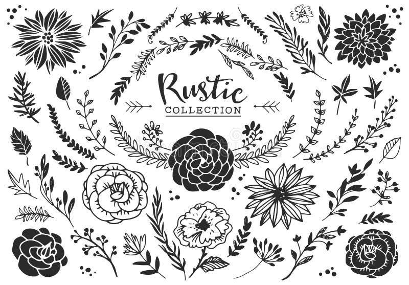 Rustic decorative plants and flowers collection. Hand drawn