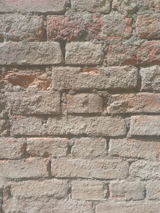 Rustic Exposed Solid Brick Wall in External Environment of Residence