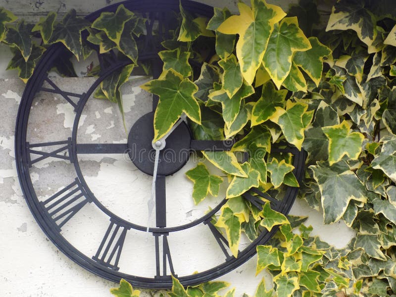 Rustic garden clock with ivy leaves, Crookham, Northumberland Uk stock photo Rustic garden clock with ivy leaves, Crookham, Northumberland Uk stock photo