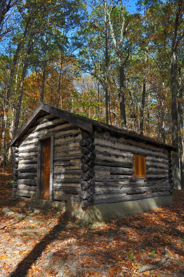 Rustic log cabin in woods