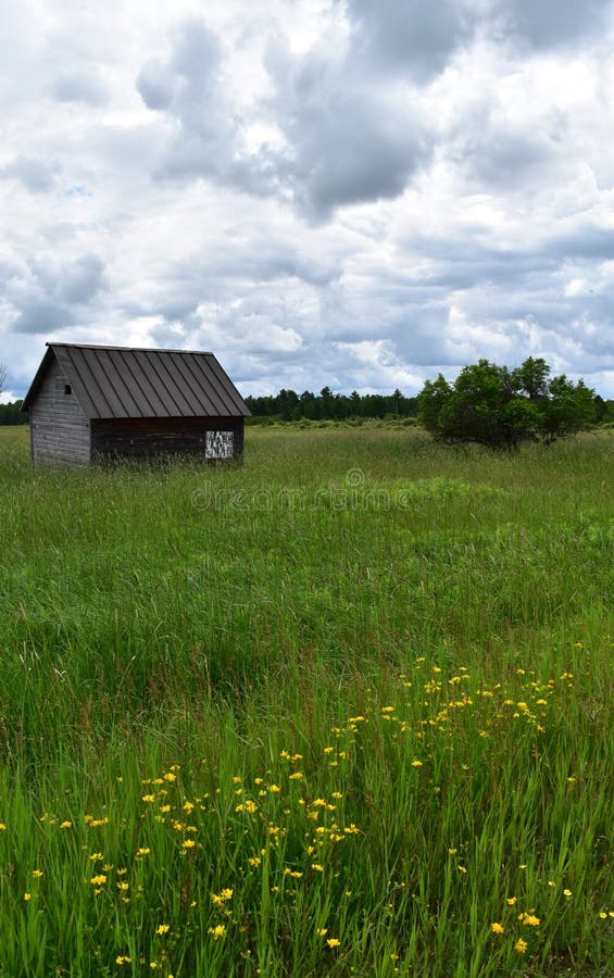 rustic cabin in woods rustic cabin in woods