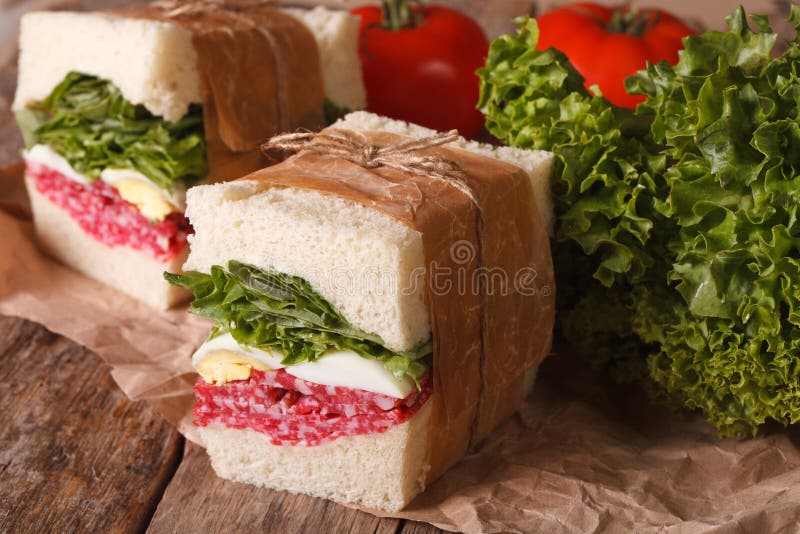 Rustic Sandwiches with Salami, Egg and Greens Wrapped in Paper Stock