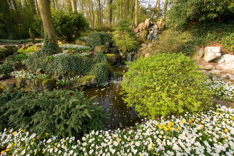 A rustic scene in a park