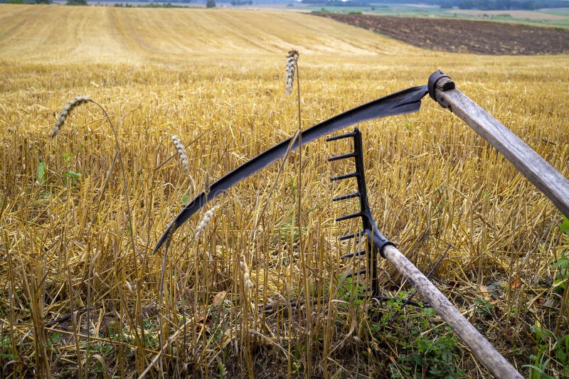 Rake and Scythe in a Lush Green Farm Field Stock Image - Image of ...