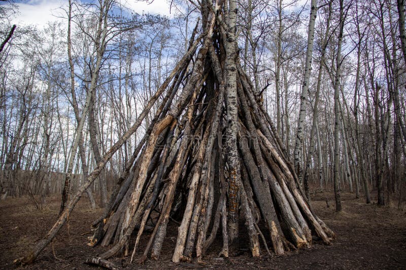 Rustic Tree Branch Structure in Forest Setting stock image