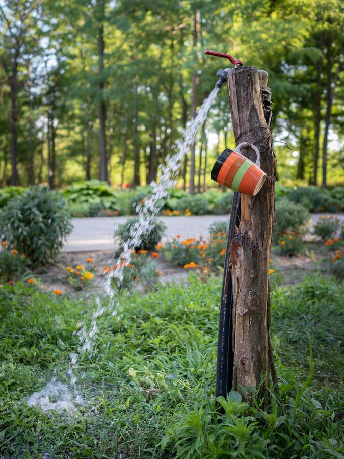 Rustic Water Fountain in a Forest, Throwing Fresh Water on the Ground