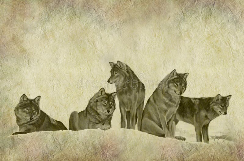 Wolf Pack Stock Illustrations – 1,154 Wolf Pack Stock Illustrations, Vectors & Clipart - Dreamstime Wolf Pack Stock Illustrations – 1,154 Wolf Pack Stock Illustrations, Vectors & Clipart - Dreamstime