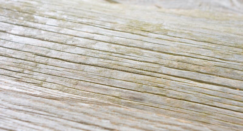 Rustic wood rough texture stock photo