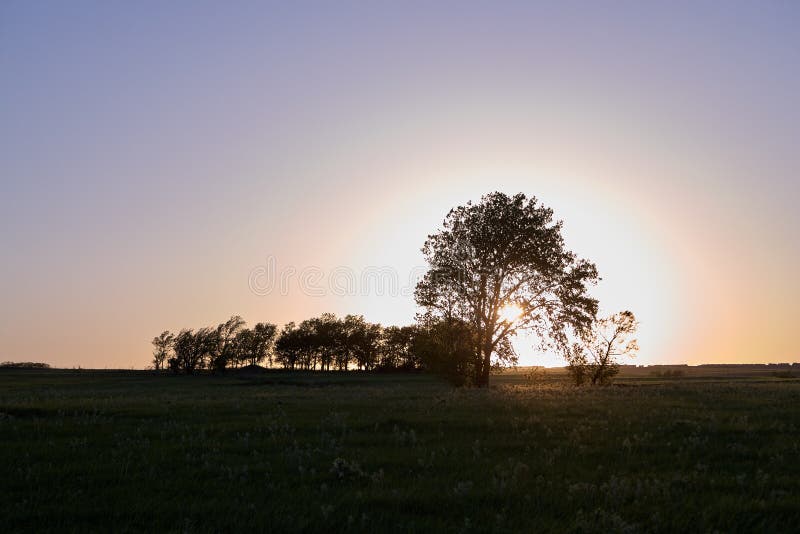 Rustige landelijke scène bij zonsondergang in Flint Hills, de V.S. stock afbeelding Rustige landelijke scène bij zonsondergang in Flint Hills, de V.S. stock afbeelding