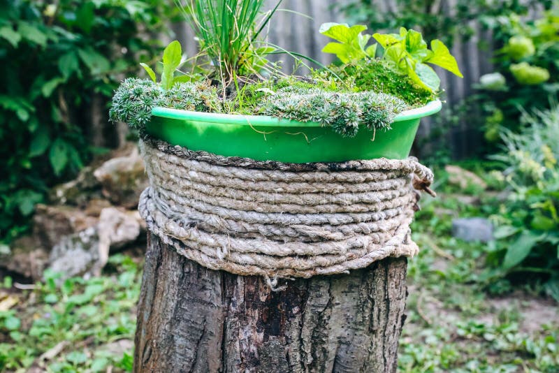 Rustikaler Handgemachter Platz Für Pflanzen. Holz Und Grüne Blumen