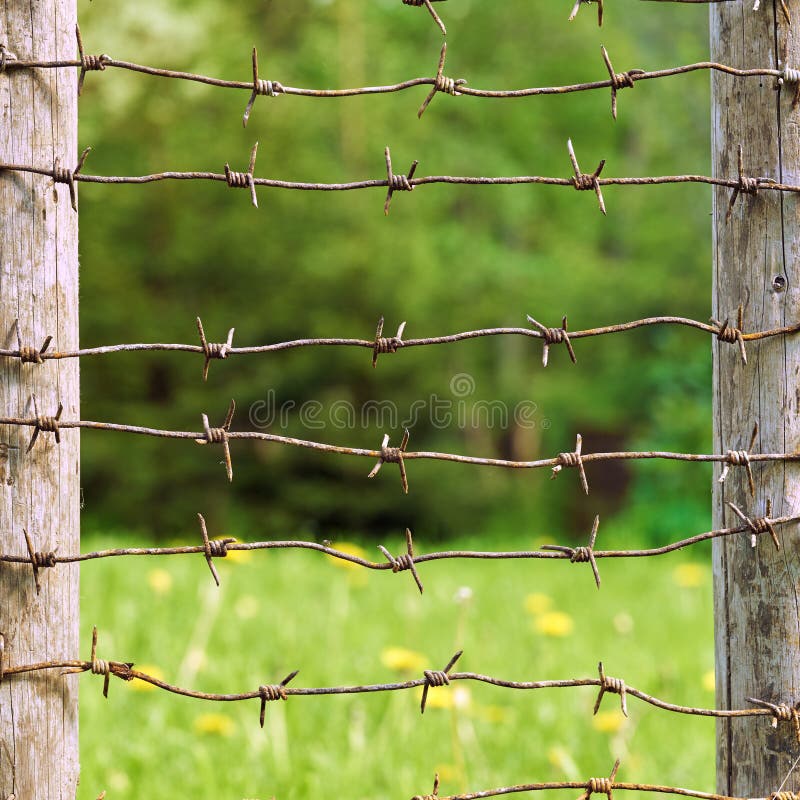 Rusty barbed wires stretched between wooden fence posts with green meadow on the background