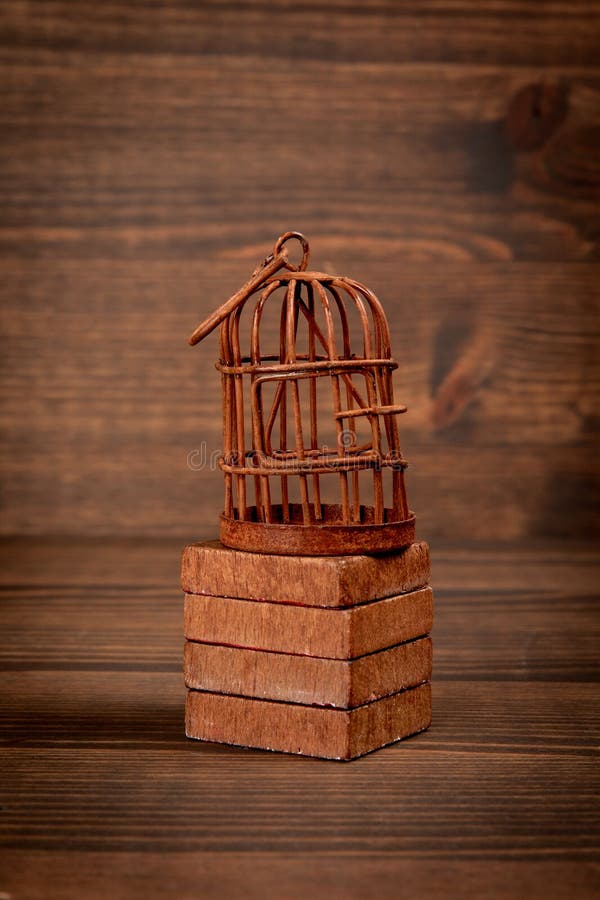Rusty Bird Cage on Wood Texture Background. Captivity, Prison and the Concept of Repression