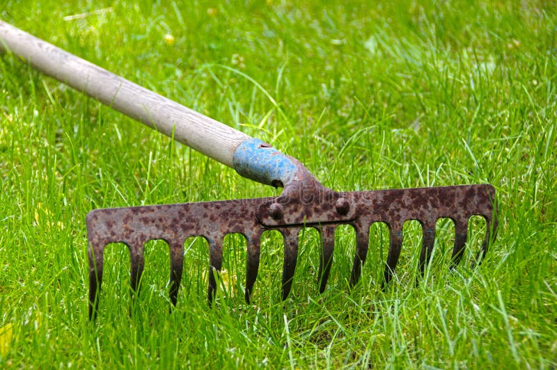 Rusty garden rake on grass stock image. Image of industrial - 96140049