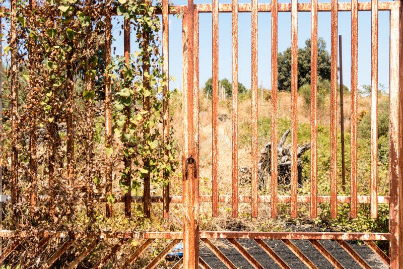 Rusty gate stock image. Image of artistic, decorative 45475565