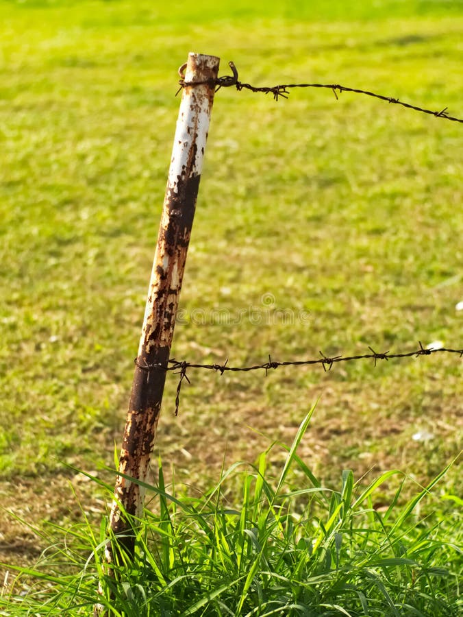 Rusty Metal Barbed Wires on Metal Pole Stock Photo Image of fence