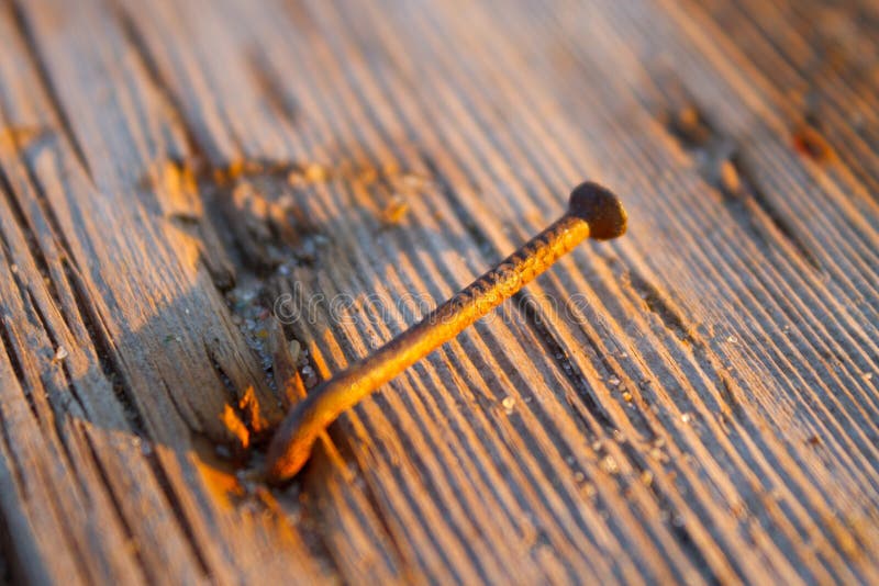 Rusty nail in wooden plank stock image. Image of detail 162796331