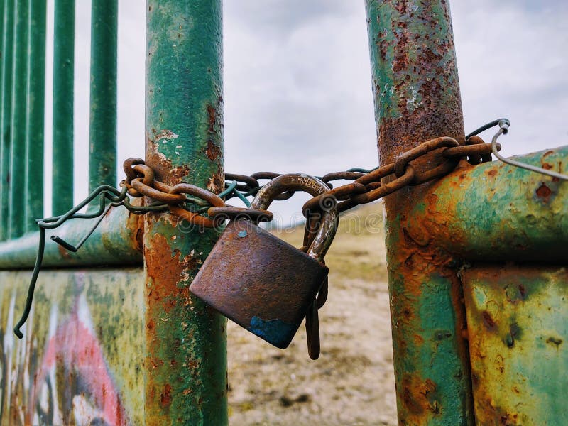 Rusty Padlock on the gate in the meadow fence.