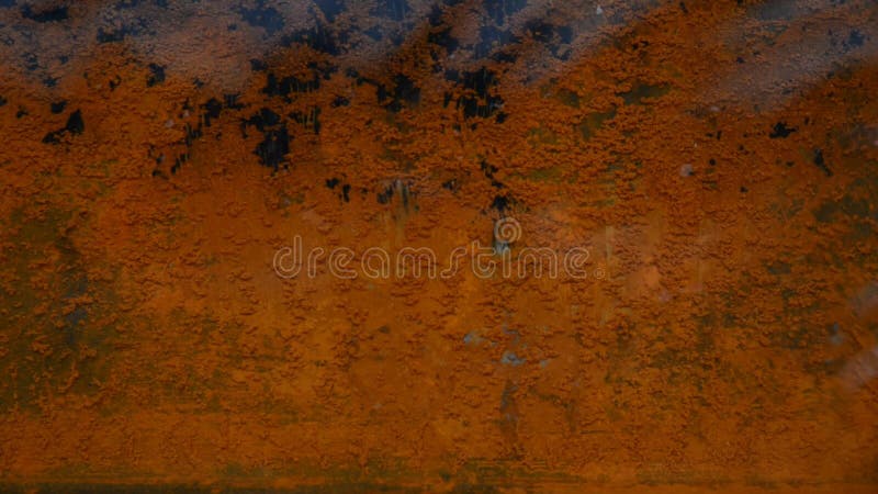 Rusty Sheet Of Metal In The Water
