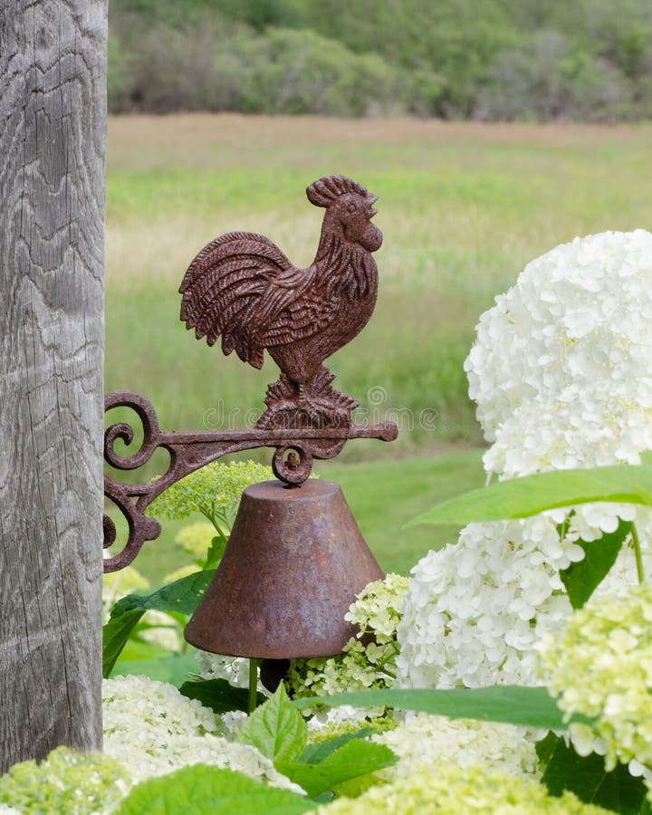 Rusty Steel Rooster Bell på ladugårdbräde med blommor och fältet royaltyfria bilder Rusty Steel Rooster Bell på ladugårdbräde med blommor och fältet royaltyfria bilder