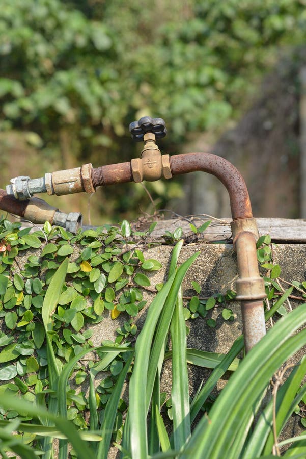 Rusty water tap stock photo. Image of ancient, plant 67007978