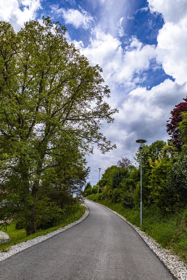 Ruta Serene a través de la vegetación exuberante y los cielos azules fotografía de archivo libre de regalías