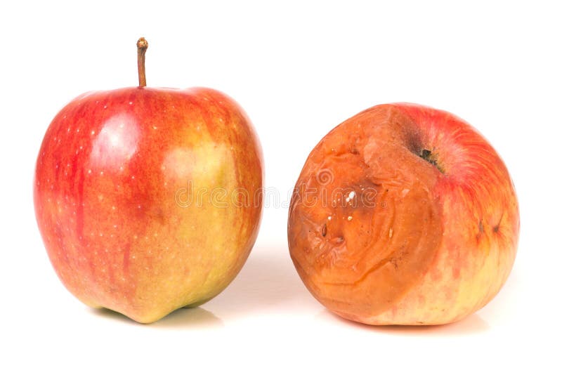 Ruttet och bra äpple som isoleras på vit bakgrund arkivbild Ruttet och bra äpple som isoleras på vit bakgrund arkivbild