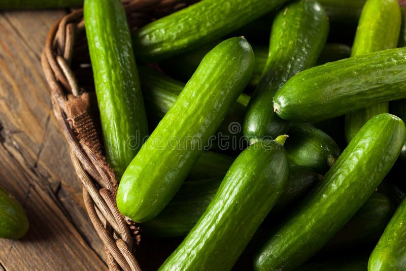 Ruw Organisch Mini Baby Cucumbers stock afbeelding Ruw Organisch Mini Baby Cucumbers stock afbeelding
