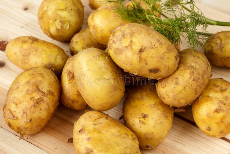 Ruwe nieuwe aardappels en een bos van dille op een houten achtergrond royalty-vrije stock afbeelding Ruwe nieuwe aardappels en een bos van dille op een houten achtergrond royalty-vrije stock afbeelding