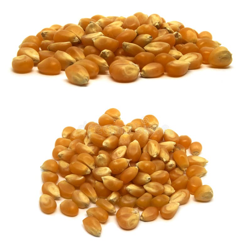 Ruwe, ongekookte gele popcornpitten op een witte achtergrond, twee meningen stock fotografie Ruwe, ongekookte gele popcornpitten op een witte achtergrond, twee meningen stock fotografie
