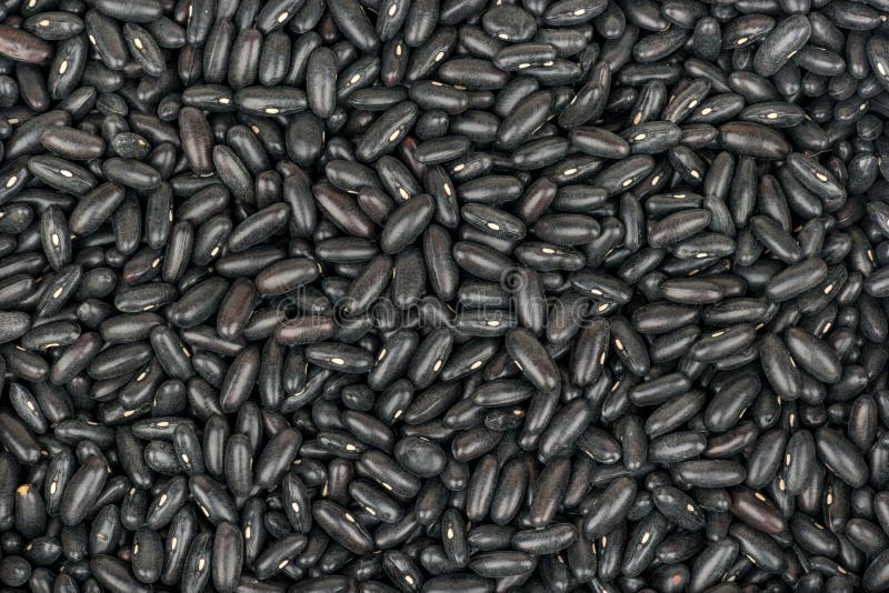 Ruwe Zwarte Bonen royalty-vrije stock afbeeldingen