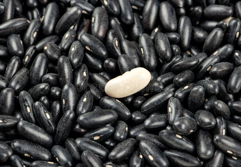 Ruwe Zwarte Bonen royalty-vrije stock afbeeldingen