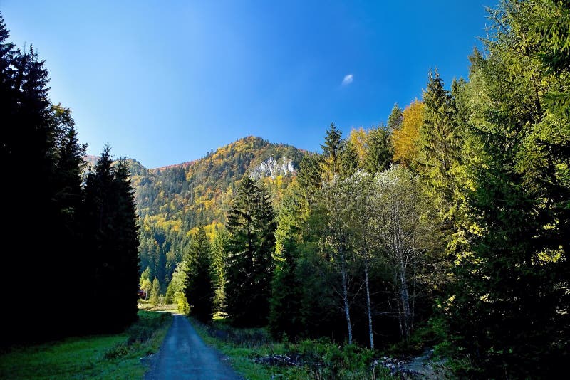 Ruzomberok - Cutkovska Valley, view of Goat peak.