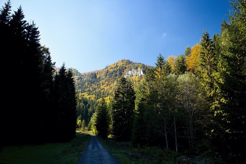 Ruzomberok - Cutkovska Valley, view of Goat peak.