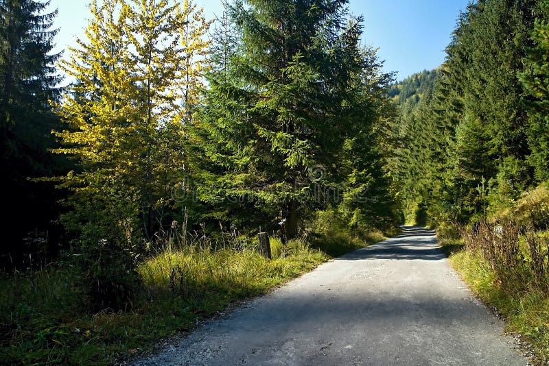 Ruzomberok - Cutkovska valley - walk through the valley with the surrounding nature.