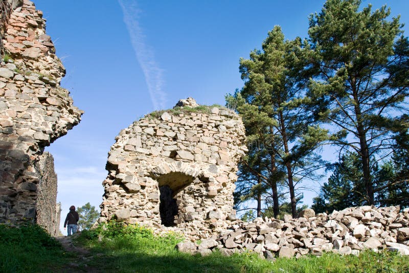 Ruínas medievais góticos do castelo Kamyk, Kamyk nad Vltavou, região boêmia central, república checa foto de stock Ruínas medievais góticos do castelo Kamyk, Kamyk nad Vltavou, região boêmia central, república checa foto de stock